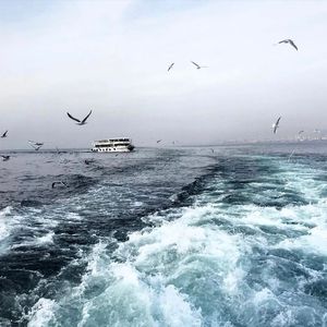 翔田千里肉感白浆无码
